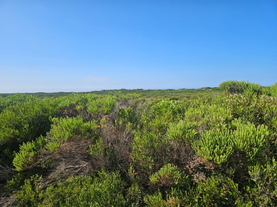 0 Bedroom Property for Sale in Pearly Beach Western Cape